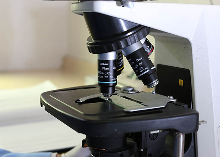 What is MBS Biotechnology?